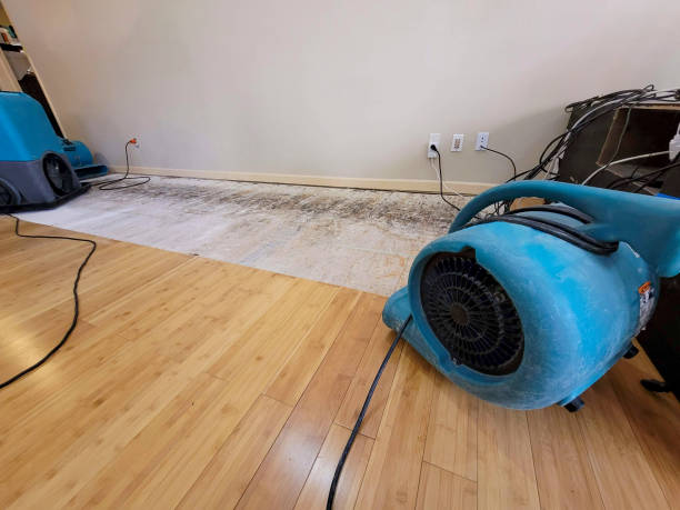 Professional Water Extraction technician working in Madison Heights, VA